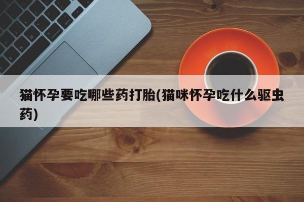 打胎药购买联系方式在线 猫怀孕要吃哪些药打胎(猫咪怀孕吃什么驱虫药)