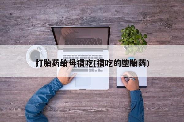 打胎药购买联系方式在线 打胎药给母猫吃(猫吃的堕胎药)